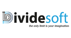 Dividesoft Logo