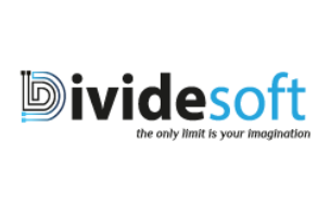 Dividesoft Logo